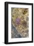 Jellyfish in the Sea Water-Ultrapro-Framed Photographic Print