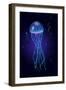 Jellyfish into the Blue-sognolucido-Framed Art Print