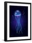 Jellyfish into the Blue-sognolucido-Framed Art Print