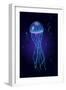 Jellyfish into the Blue-sognolucido-Framed Art Print