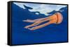 Jellyfish juvenile, drifting near the surface, Hawaii, Pacific Ocean-David Fleetham-Framed Stretched Canvas