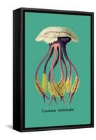 Jellyfish: Leonura Terminalis-Ernst Haeckel-Framed Stretched Canvas