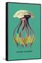 Jellyfish: Leonura Terminalis-Ernst Haeckel-Framed Stretched Canvas