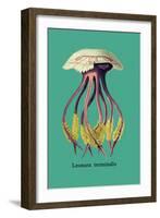 Jellyfish: Leonura Terminalis-Ernst Haeckel-Framed Art Print