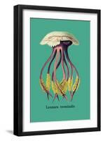 Jellyfish: Leonura Terminalis-Ernst Haeckel-Framed Art Print