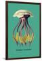 Jellyfish: Leonura Terminalis-Ernst Haeckel-Framed Art Print