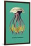 Jellyfish: Leonura Terminalis-Ernst Haeckel-Framed Art Print