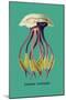 Jellyfish: Leonura Terminalis-Ernst Haeckel-Mounted Art Print