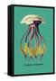 Jellyfish: Leonura Terminalis-Ernst Haeckel-Framed Stretched Canvas