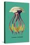 Jellyfish: Leonura Terminalis-Ernst Haeckel-Stretched Canvas