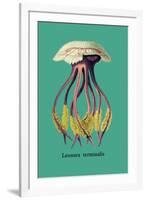 Jellyfish: Leonura Terminalis-Ernst Haeckel-Framed Art Print