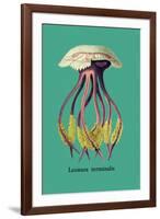 Jellyfish: Leonura Terminalis-Ernst Haeckel-Framed Art Print