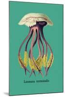 Jellyfish: Leonura Terminalis-Ernst Haeckel-Mounted Art Print