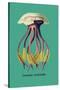 Jellyfish: Leonura Terminalis-Ernst Haeckel-Stretched Canvas