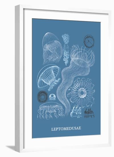 Jellyfish: Leptomedusae-Ernst Haeckel-Framed Art Print