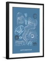 Jellyfish: Leptomedusae-Ernst Haeckel-Framed Art Print