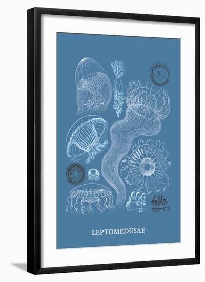 Jellyfish: Leptomedusae-Ernst Haeckel-Framed Art Print