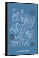 Jellyfish: Leptomedusae-Ernst Haeckel-Framed Stretched Canvas