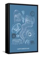 Jellyfish: Leptomedusae-Ernst Haeckel-Framed Stretched Canvas