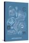 Jellyfish: Leptomedusae-Ernst Haeckel-Stretched Canvas