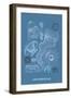 Jellyfish: Leptomedusae-Ernst Haeckel-Framed Art Print