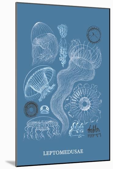 Jellyfish: Leptomedusae-Ernst Haeckel-Mounted Art Print