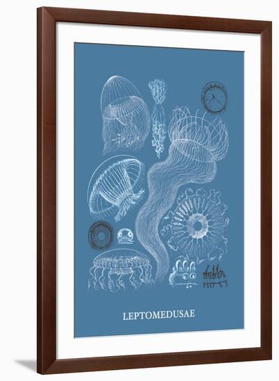 Jellyfish: Leptomedusae-Ernst Haeckel-Framed Art Print