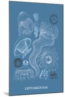 Jellyfish: Leptomedusae-Ernst Haeckel-Mounted Art Print