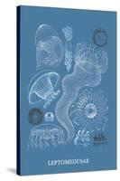 Jellyfish: Leptomedusae-Ernst Haeckel-Stretched Canvas