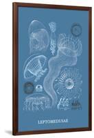 Jellyfish: Leptomedusae-Ernst Haeckel-Framed Art Print