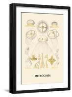 Jellyfish: Mitrocoma-Ernst Haeckel-Framed Art Print