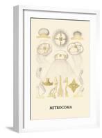 Jellyfish: Mitrocoma-Ernst Haeckel-Framed Art Print