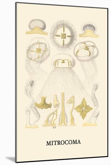 Jellyfish: Mitrocoma-Ernst Haeckel-Mounted Art Print