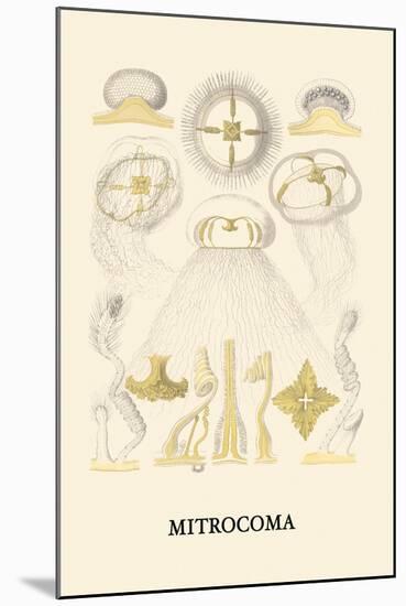Jellyfish: Mitrocoma-Ernst Haeckel-Mounted Art Print