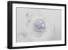 Jellyfish on Beach in the Lofoten Islands Norway-Nosnibor137-Framed Photographic Print