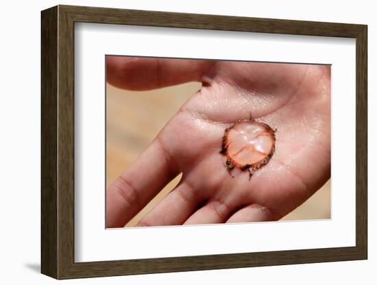 Jellyfish on Palm-Yulia-Framed Photographic Print