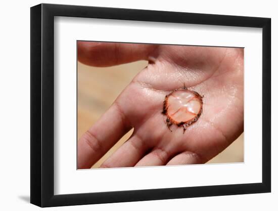 Jellyfish on Palm-Yulia-Framed Photographic Print