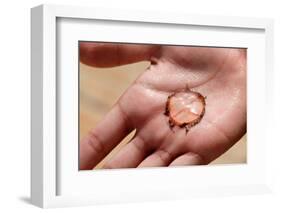 Jellyfish on Palm-Yulia-Framed Photographic Print