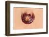 Jellyfish on Shore-gvictoria-Framed Photographic Print