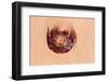 Jellyfish on Shore-gvictoria-Framed Photographic Print