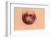 Jellyfish on Shore-gvictoria-Framed Photographic Print