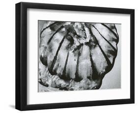 Jellyfish, Oregon, 1967-Brett Weston-Framed Photographic Print