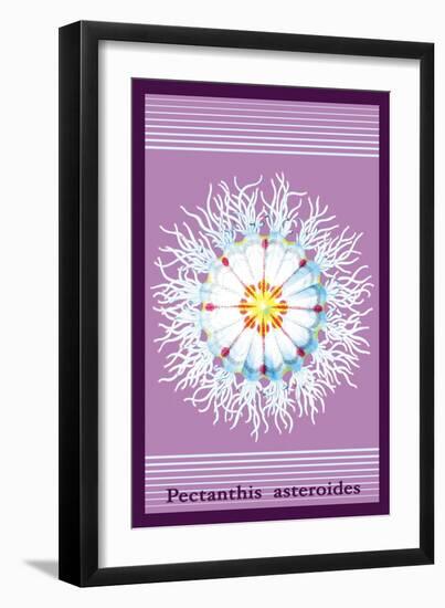 Jellyfish: Pectanthis Asteroides-Ernst Haeckel-Framed Art Print