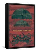 Jellyfish: Pectanthis Asteroides-Ernst Haeckel-Framed Stretched Canvas