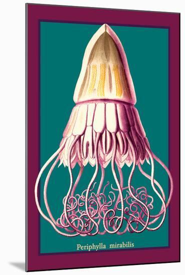 Jellyfish: Periphylla Mirabilis-Ernst Haeckel-Mounted Art Print