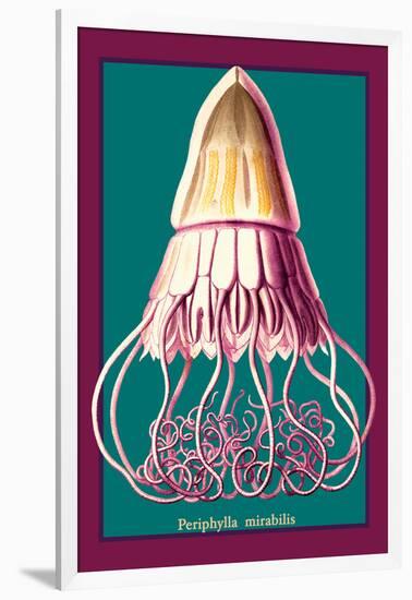 Jellyfish: Periphylla Mirabilis-Ernst Haeckel-Framed Art Print