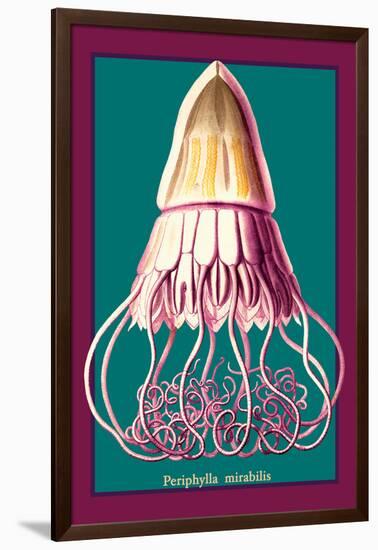 Jellyfish: Periphylla Mirabilis-Ernst Haeckel-Framed Art Print