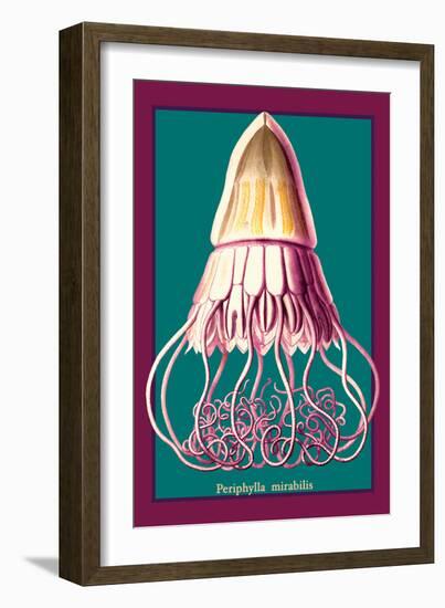 Jellyfish: Periphylla Mirabilis-Ernst Haeckel-Framed Art Print