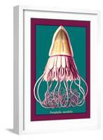 Jellyfish: Periphylla Mirabilis-Ernst Haeckel-Framed Art Print