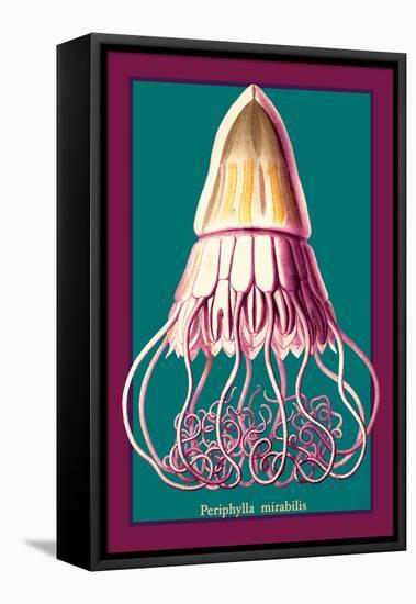 Jellyfish: Periphylla Mirabilis-Ernst Haeckel-Framed Stretched Canvas
